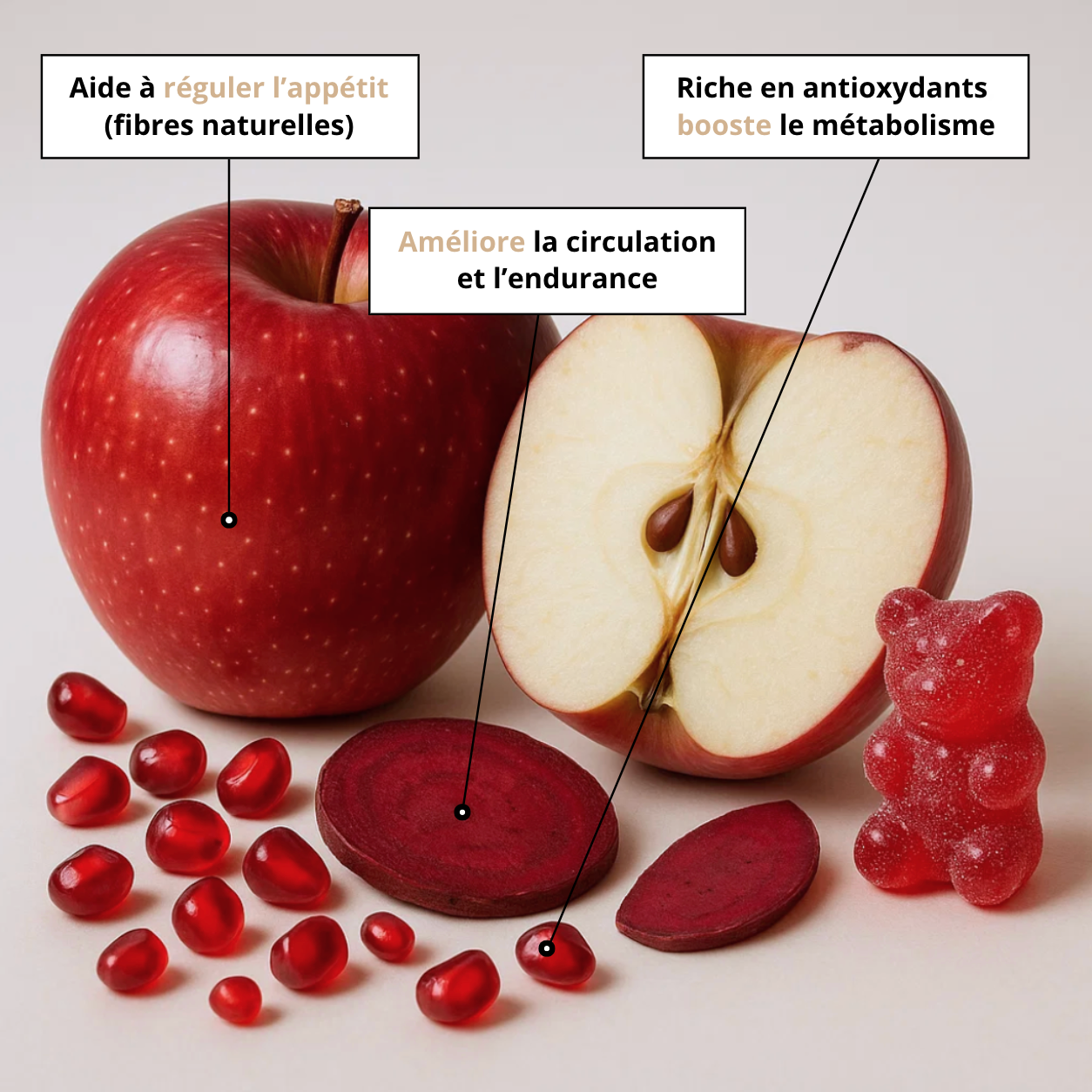 Brûleur de graisse